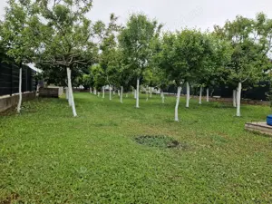 Vând 2 loturi comuna Berceni - imagine 8