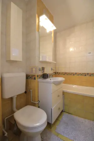 Corneliu Copusu, 3 camere + 2 bai, centrala proprie - imagine 11