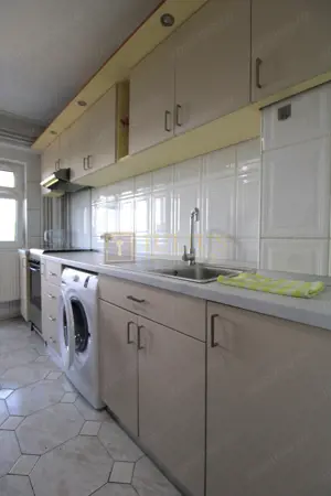 Corneliu Copusu, 3 camere + 2 bai, centrala proprie - imagine 13