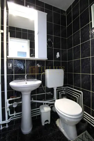 Corneliu Copusu, 3 camere + 2 bai, centrala proprie - imagine 16