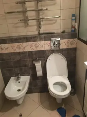 Garsoniera de inchiriat in Florilor pe Albastrelelor - imagine 4