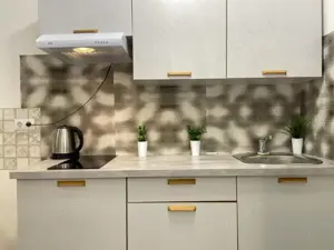 Oferim spre inchiriere apartament cu 2 camere in zona Dristor - imagine 4