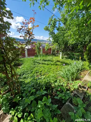 Casă de vânzare în Bistrița, cartier Unirea   Strada Cătinei - imagine 9