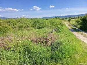 vand teren spre mintele mic  - imagine 2