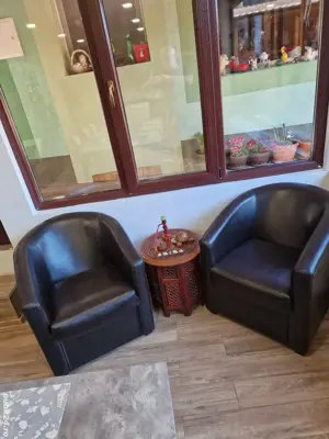 Fotolii din piele sintetică 