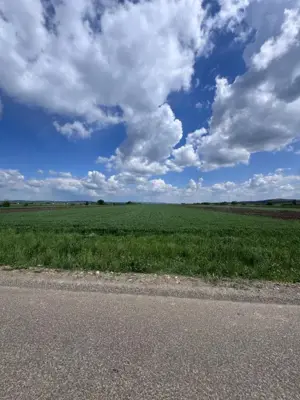 Teren extravilan, 1 hectar, Volovat