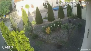 caut om NUMAI din Sibiu pentru intretinere gradina