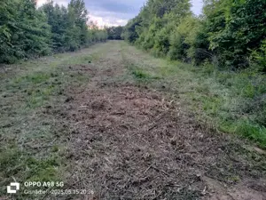 Se vinde urgent teren intravilan  - imagine 4