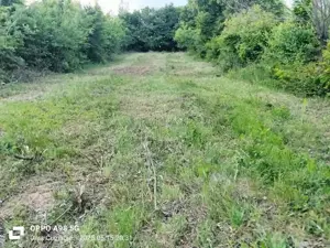 Se vinde urgent teren intravilan  - imagine 3