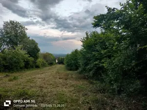 Se vinde urgent teren intravilan  - imagine 2