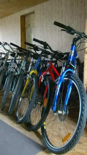  Vand Biciglete angro. 