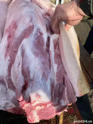 vand  carcasa porci  - imagine 2