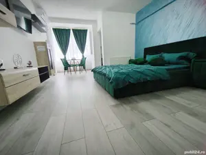 Regim hotelier apartament cu o camera - imagine 3