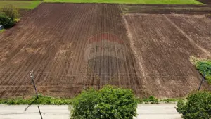 Teren Tifesti / Strada Secundara 47 - imagine 7