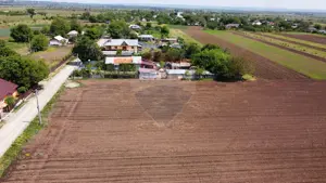 Teren Tifesti / Strada Secundara 47 - imagine 8