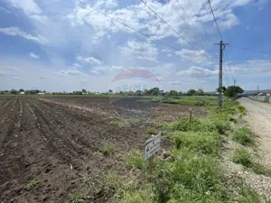 Teren Tifesti / Strada Secundara 47 - imagine 5