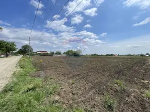 Teren Tifesti / Strada Secundara 47 - imagine 4