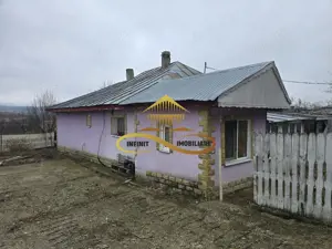 Casa de vanzare cu 5000 mp teren in Parincea cu livada si iaz