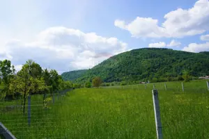 Teren 2,486mp Sighetu Marmatiei / Strada Constantin Dobrogeanu-Gherea - imagine 3