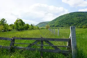 Teren 2,486mp Sighetu Marmatiei / Strada Constantin Dobrogeanu-Gherea - imagine 4