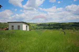 Casă cu 3 camere, anexă și 2042 mp teren de vânzare, în Calea Mare - imagine 12