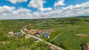 Casă cu 3 camere, anexă și 2042 mp teren de vânzare, în Calea Mare - imagine 14