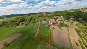 Casă cu 3 camere, anexă și 2042 mp teren de vânzare, în Calea Mare