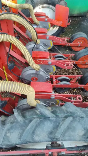 Semanatoare pentru ceapa  - imagine 2