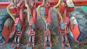 Semanatoare pentru ceapa  - imagine 3