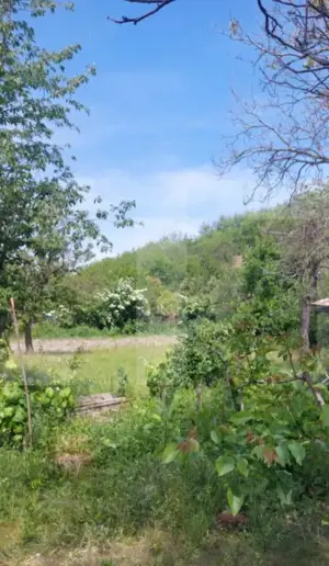 Blitz va ofera spre vanzare casa cu teren generos in Covăsânț - imagine 4