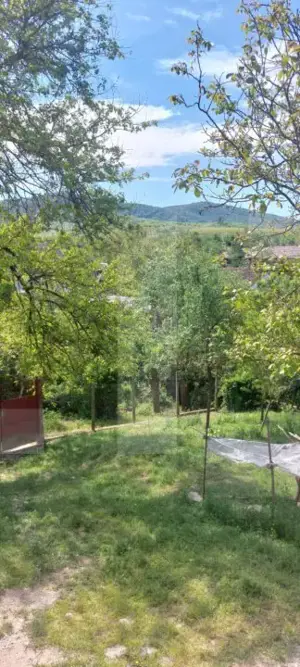 Blitz va ofera spre vanzare casa cu teren generos in Covăsânț - imagine 5