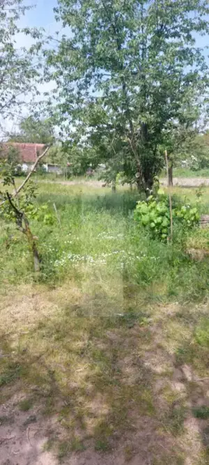 Blitz va ofera spre vanzare casa cu teren generos in Covăsânț - imagine 6