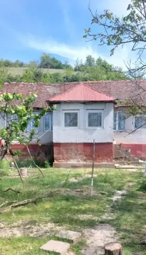 Blitz va ofera spre vanzare casa cu teren generos in Covăsânț - imagine 2