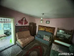 Casa la tara, sat Ruși,23km de Sibiu -2300mp teren - imagine 6