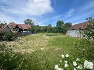 Casa la tara, sat Ruși,23km de Sibiu -2300mp teren - imagine 5