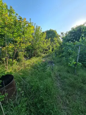 Vanzare proprietate, in Galati, langa Spitalul Militar, sup.teren 712mp - imagine 9