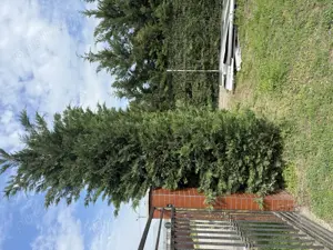 Vand ,schim cu apartament In tecuci   - imagine 7 Vand ,schim cu apartament In tecuci   - imagine 7