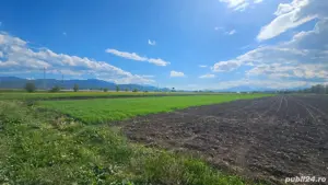 vând teren intravilan  - imagine 7