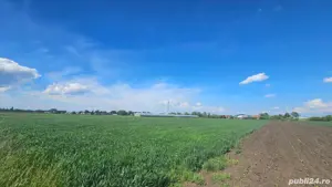 vând teren intravilan  - imagine 4