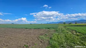 vând teren intravilan  - imagine 6