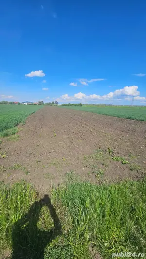 vând teren intravilan 