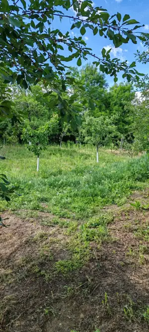 Casa de vânzare  - imagine 4