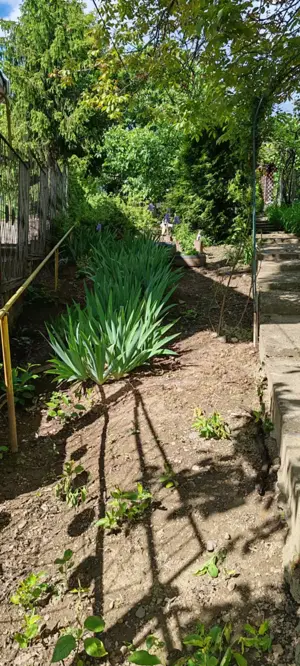 Casa de vânzare  - imagine 6