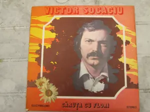 Discuri vinil romanesti fabricate electrecord inainte de 89 - imagine 2