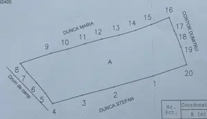 Teren de vânzare  - imagine 2