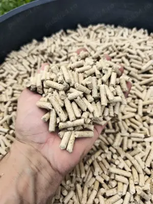 Peleti Lemn Rasinoase 2025-2026 - Vrancea