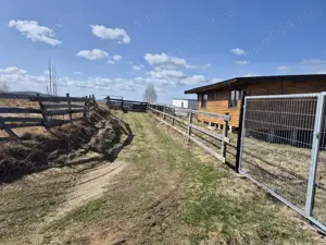 Cabana Maguri Racatau, 38000 eur - imagine 2