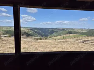 Cabana Maguri Racatau, 38000 eur - imagine 3