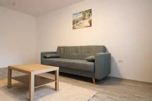 3 camere recent renovat, totul nou- Aradului - imagine 3