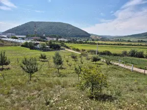 Închiriez vand  123  ari intravilan,zona industriala - imagine 7